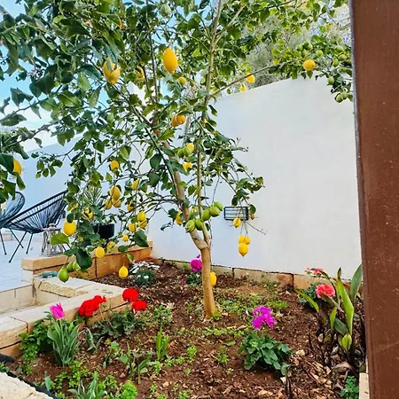 Close To And Stjulians Naxxar