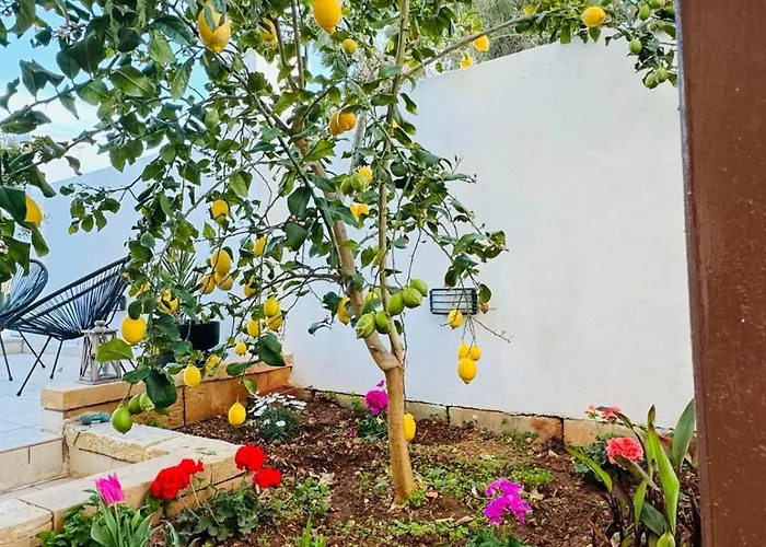 Close To And Stjulians Naxxar